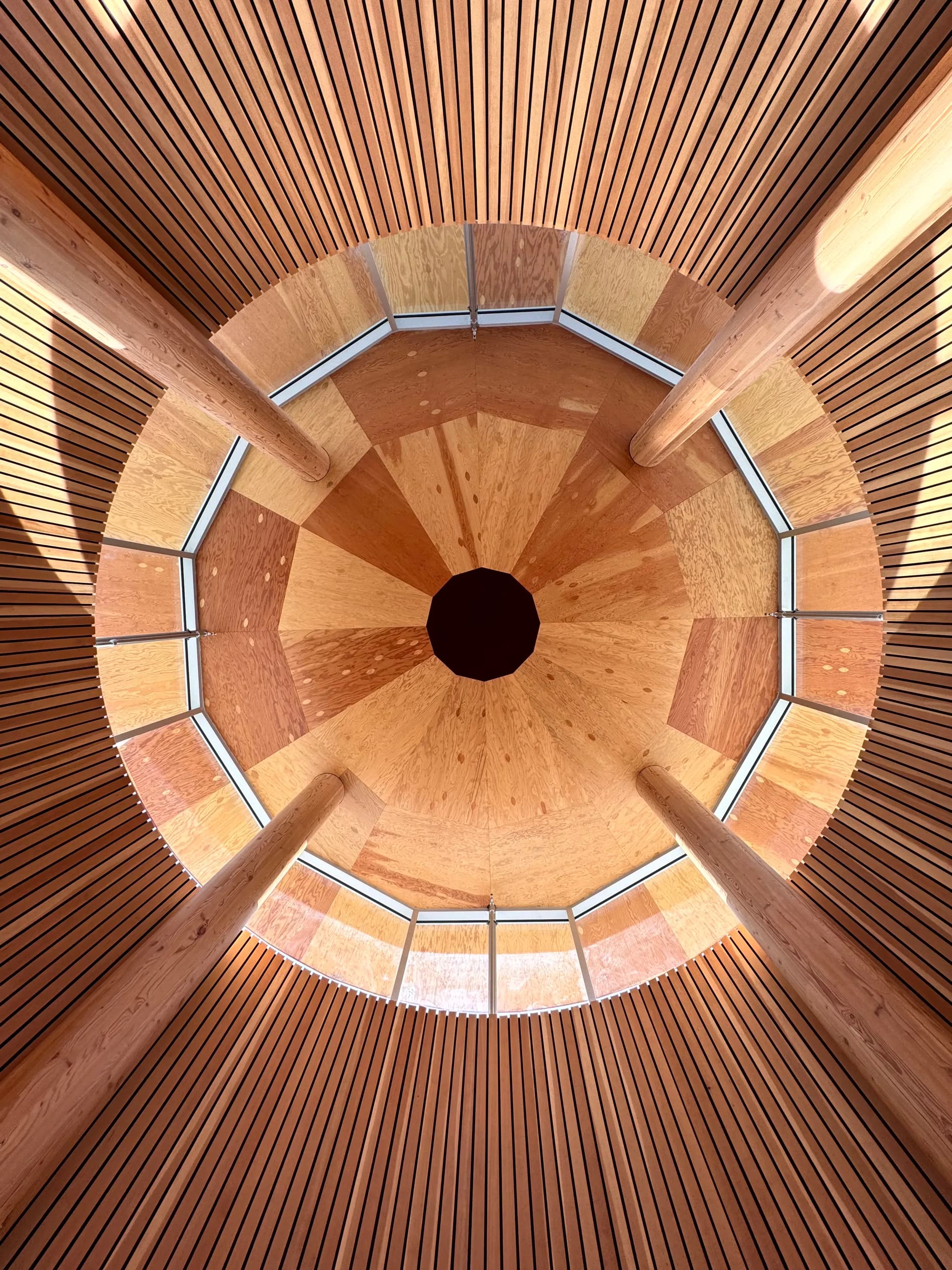 Looking up into the timber drum, its radiating beams meeting a ring of clerestory glazing.